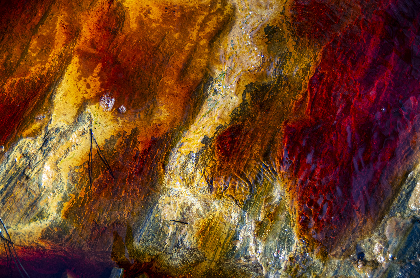 Colores del Tinto