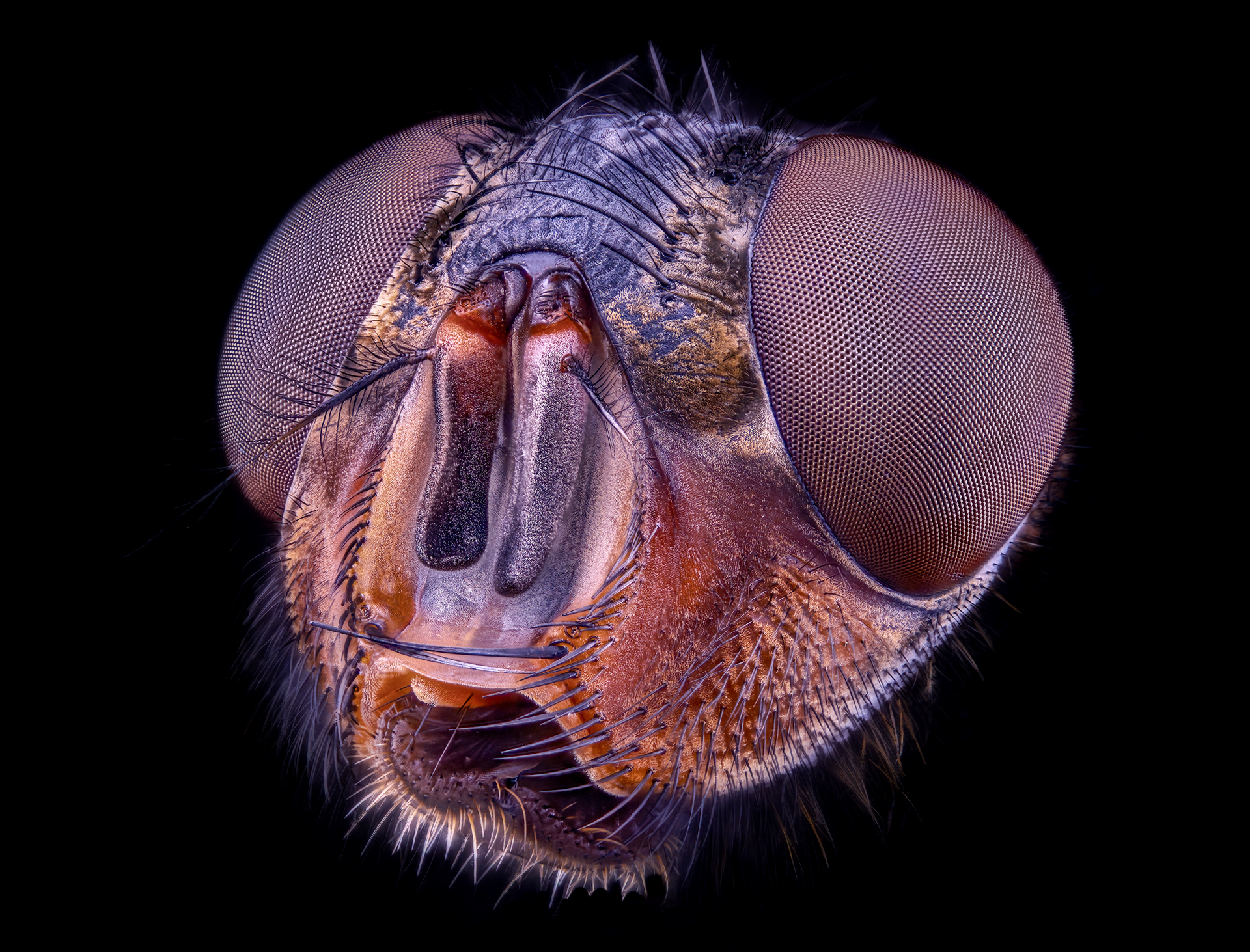 Una pequeña conocida por todos