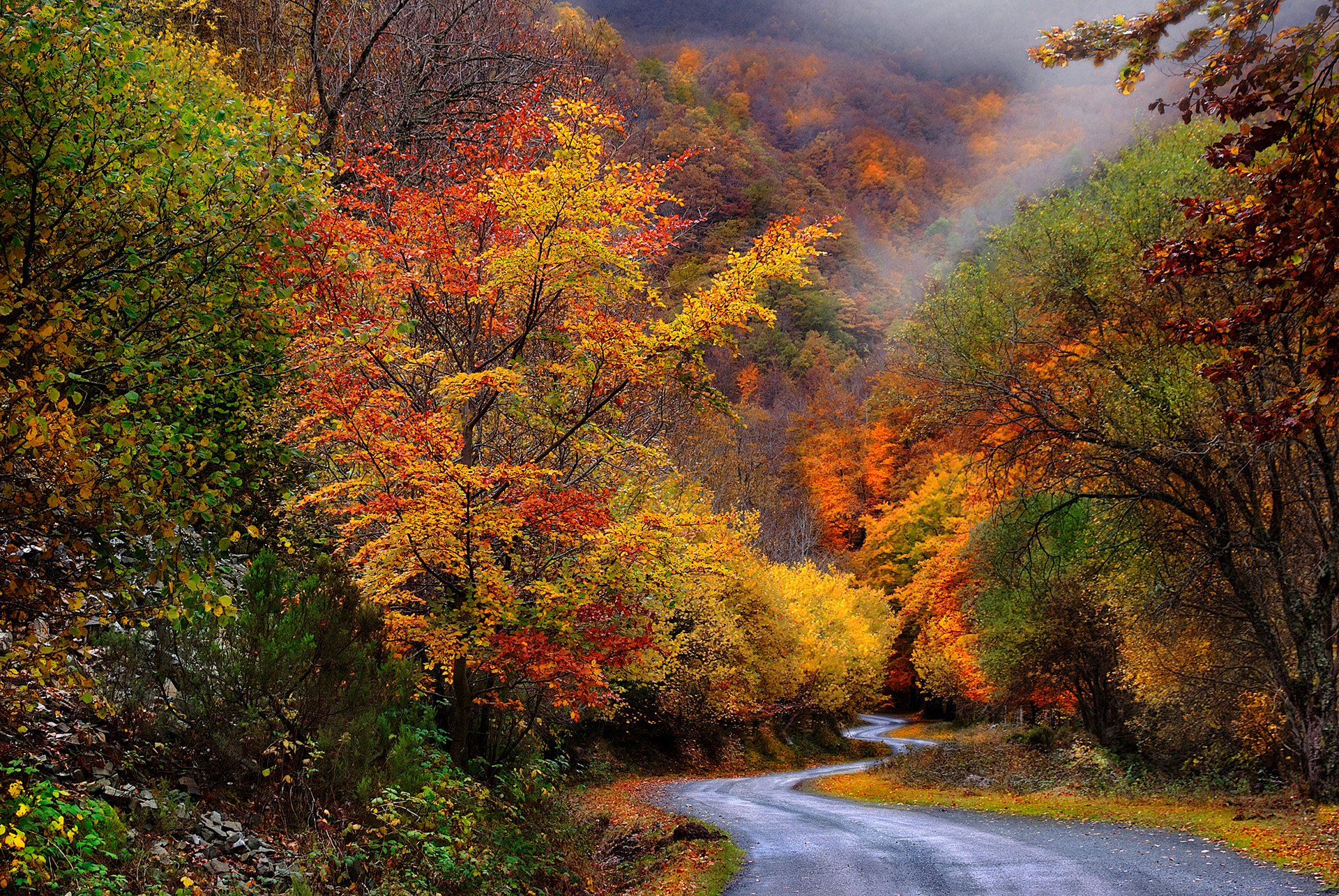 Otoño-Nieblas y Paleta de colores-