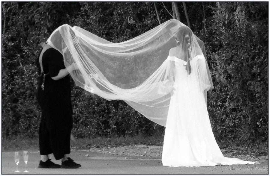 ¡Viva los novios!