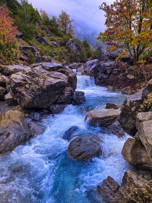 Naturalaeza salvaje
