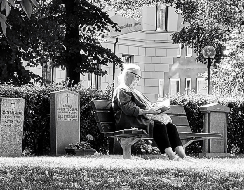 Lectura a Åke