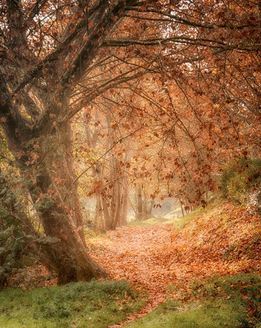 Caminos de Otoño