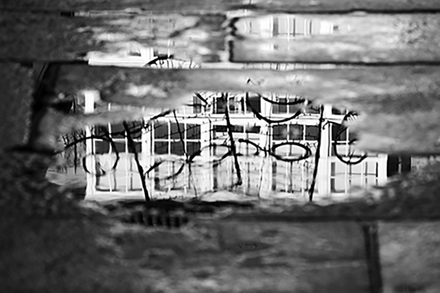Reflejo