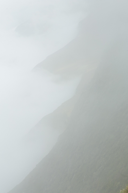 Entre niebla