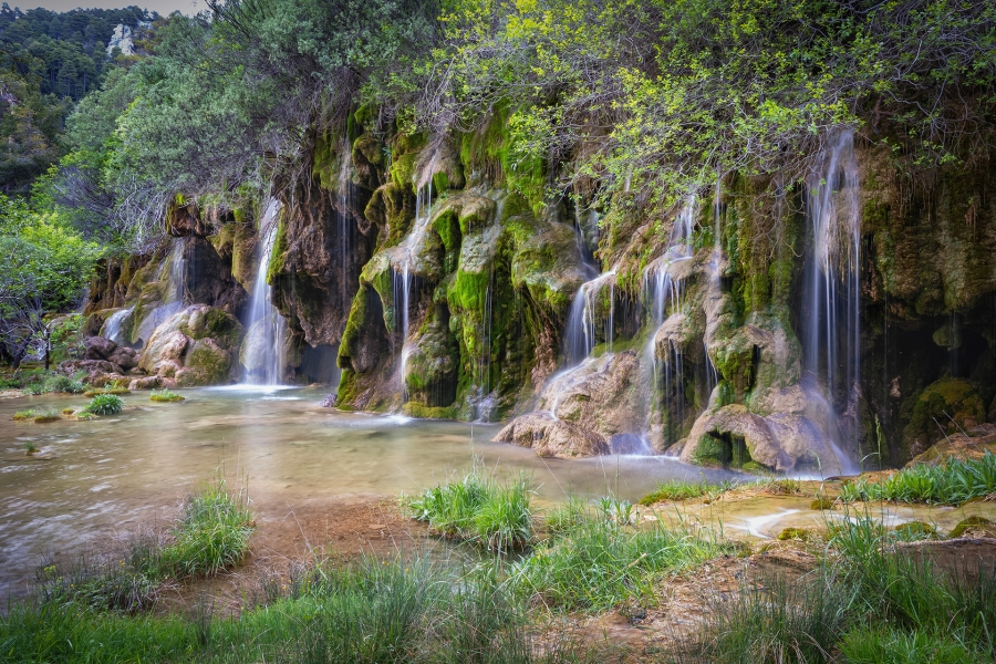 Agua es Vida