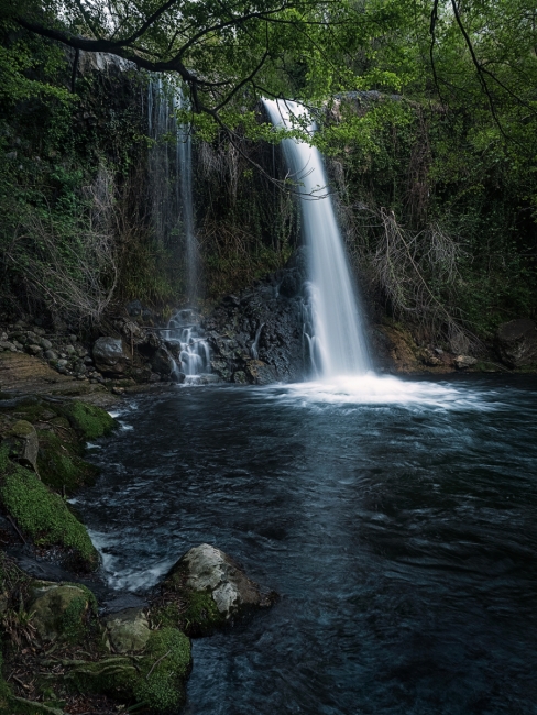 Cascada en el bosque