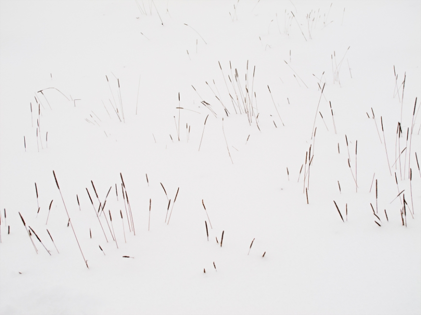 Trazos de invierno