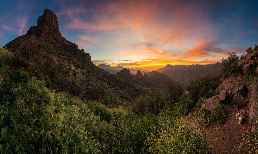 Dejemos entrar a la primaveraa
