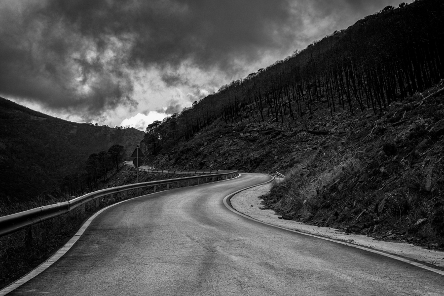 Desolacion