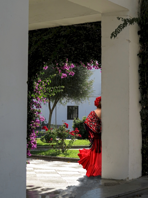Dialogo de Flores