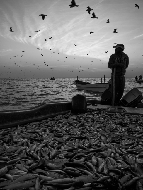 Días de pesca