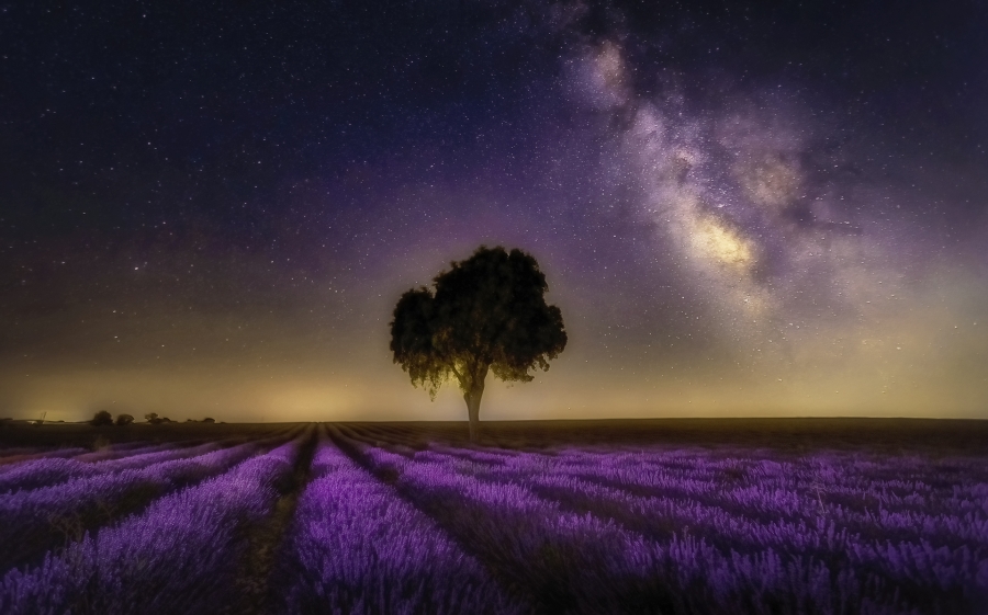 Donde el cielo escribe poesía