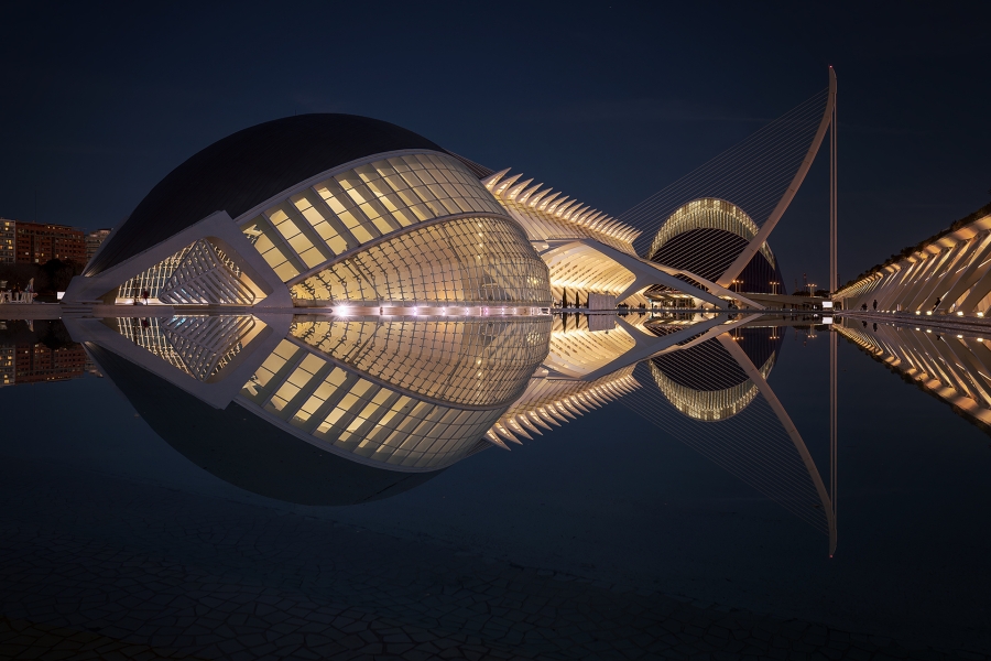 El pez de las ciencias