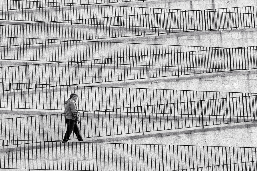 El rumbo de la vida