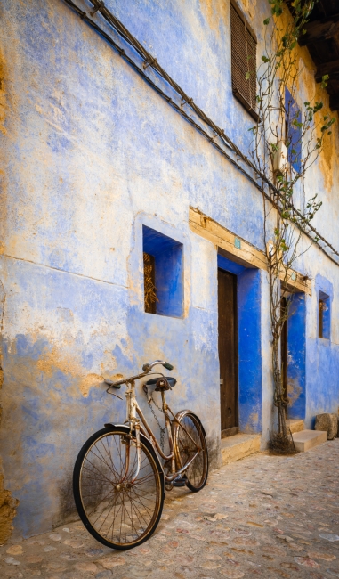 LA BICICLETA