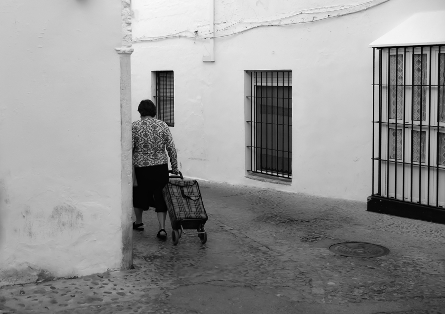 LA COMPRA