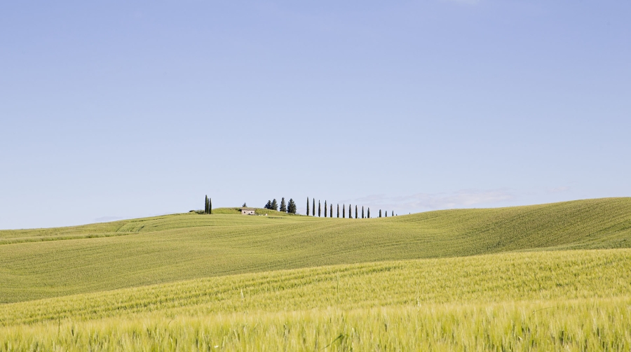 La Toscana