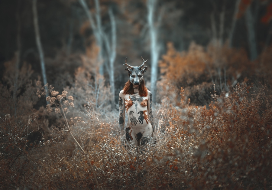 El bosque encantado