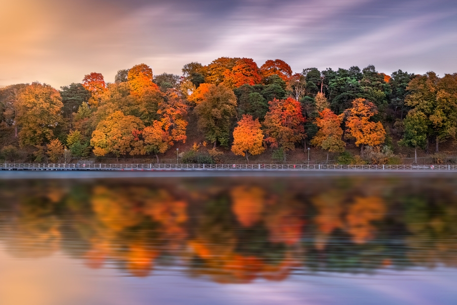 Allí donde nace el otoño