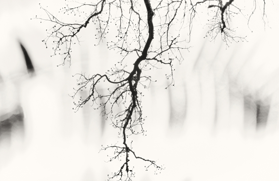 Neurona