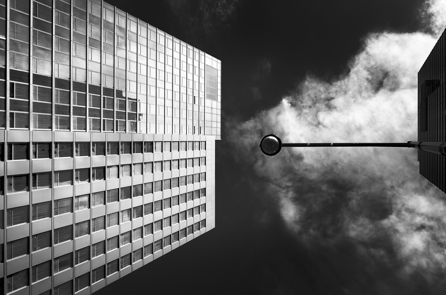 Perspectivas
