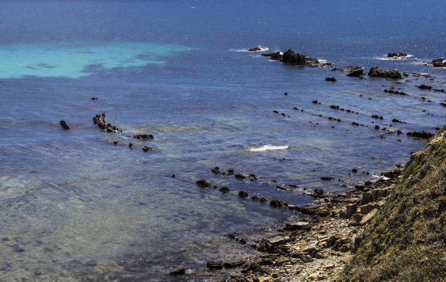Punta Carnero