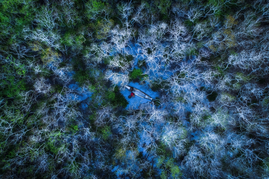 Ru Cha forest and boat