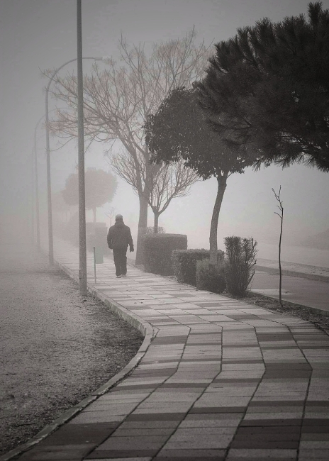 &quot;SOLEDAD MATINAL&quot;