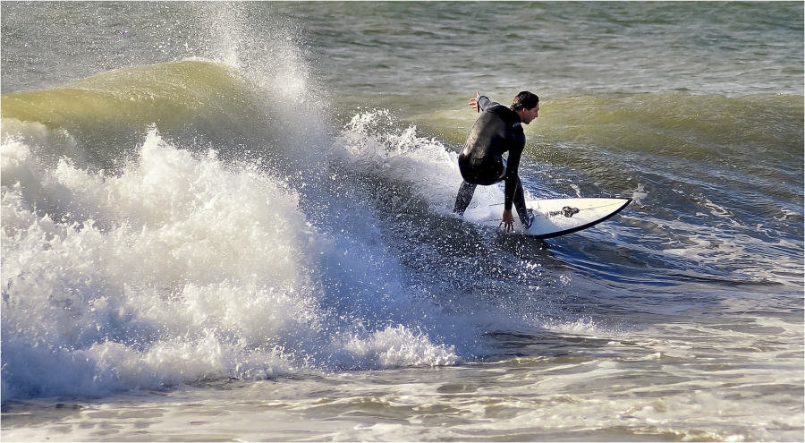 Surfista