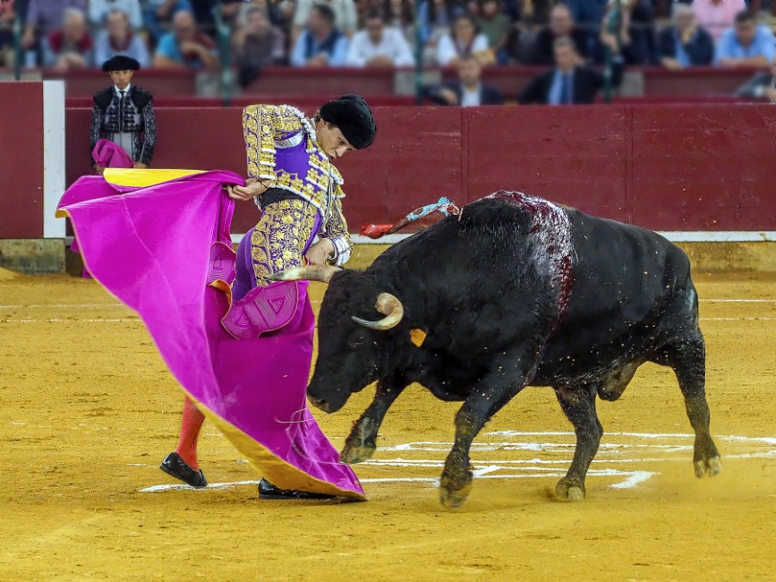 the bulls 03