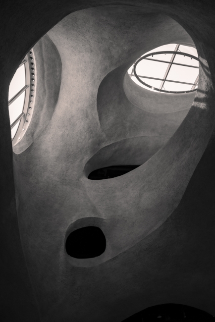The face