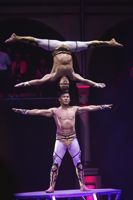 TRAPECISTAS