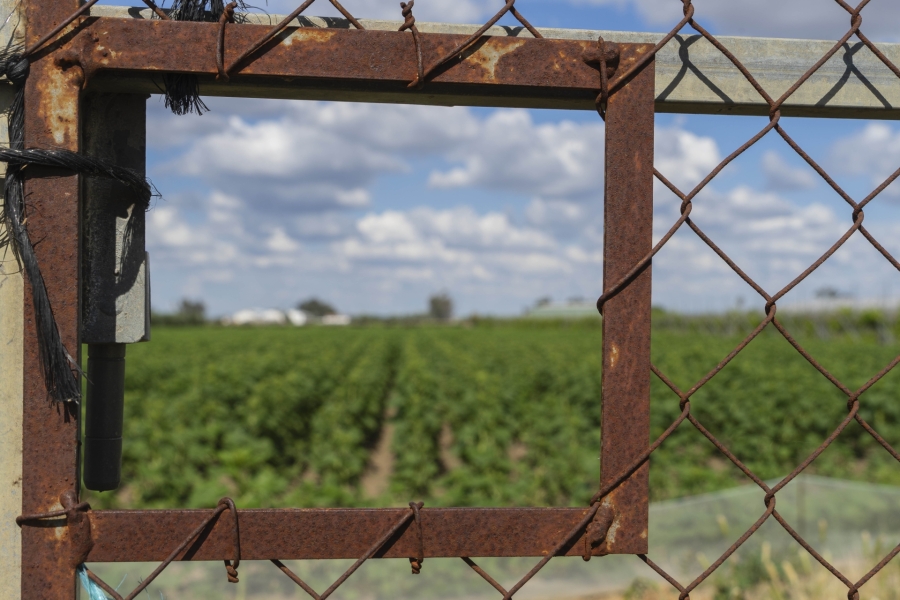 Ventana al Campo