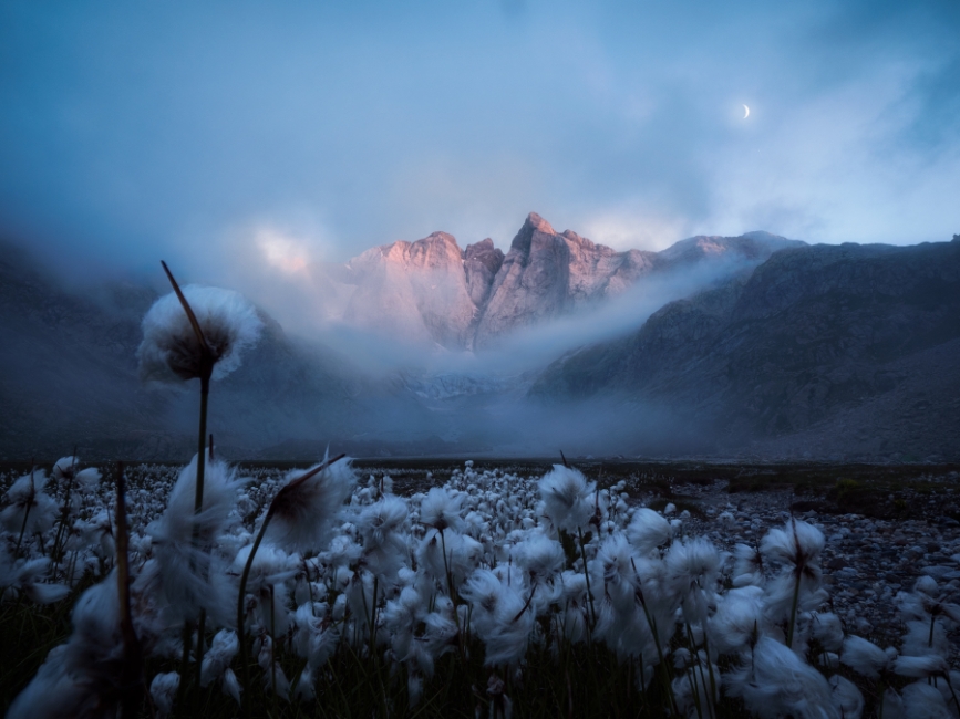Entre la niebla