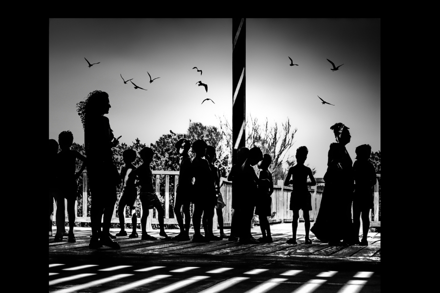niños y pajaros