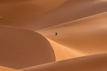 Caminando entre las dunas