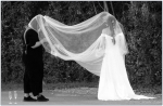 ¡Viva los novios!