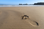Sandscapes 04