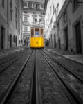 Lisbon tram