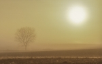 Nieblas de amanecer
