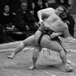Dojo stress
