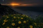 210326_Primavera