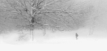Entre el frio