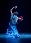 Flamenco