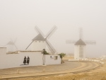 Niebla
