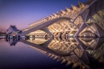Reflejo