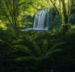 In a fairy tale