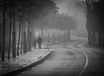 Niebla