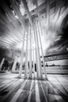 Muelle 1